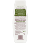 Olive Oil Formula Products Shine Therapy Shampoo